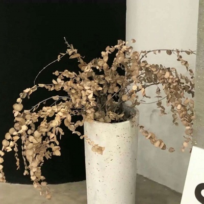 兽设节日场景创作FurryQQ群